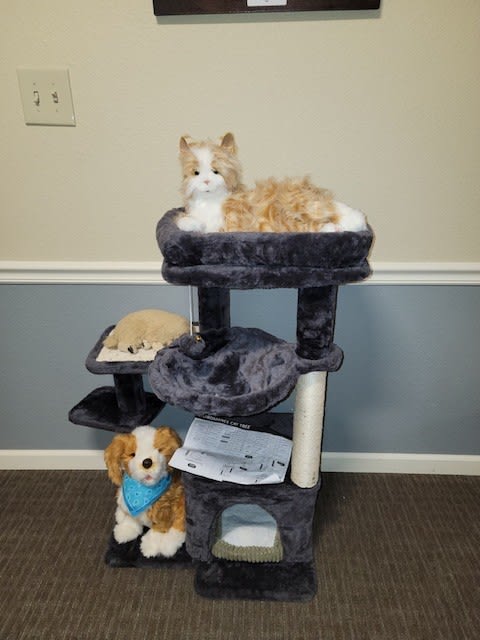 A plush cat and dog are arranged on a multi-level cat tree.