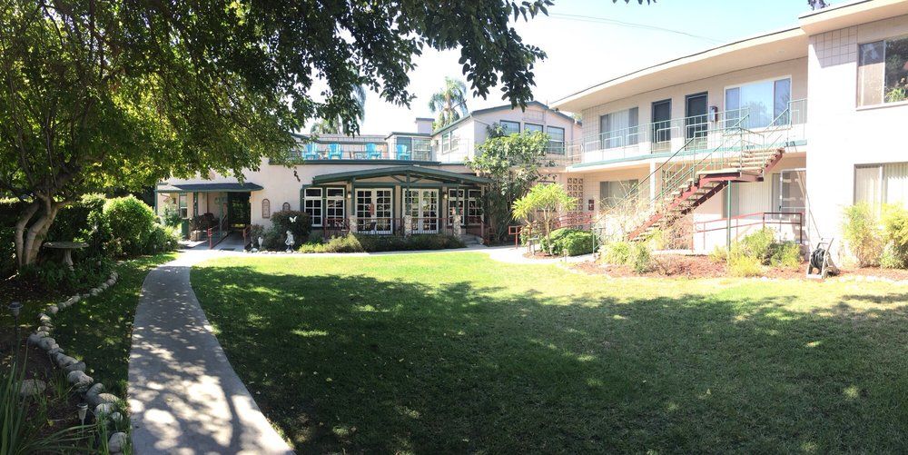 A spacious backyard with a green lawn and surrounding trees on a sunny day.