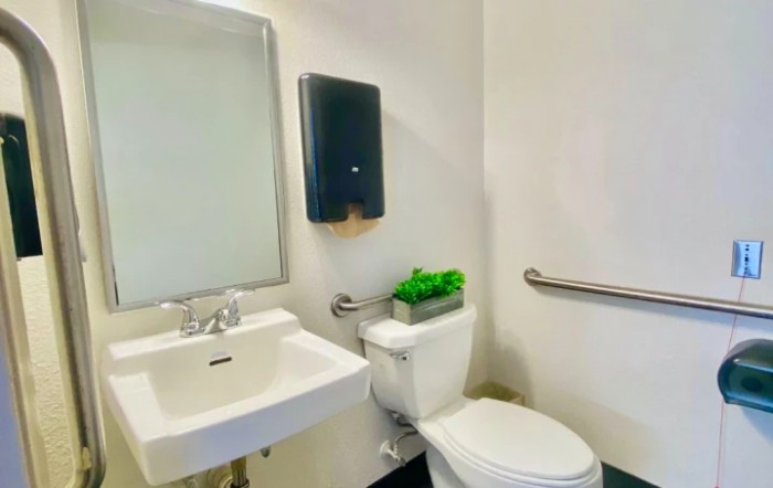 A clean, minimalist bathroom with a sink, mirror, toilet, and a small plant for decoration.