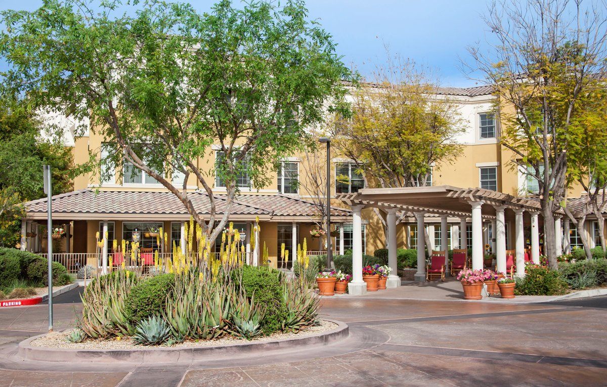 A sunny view of a building exterior with trees and potted plants.