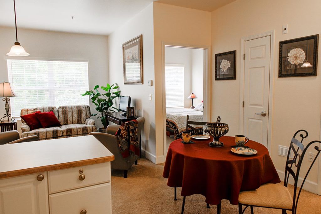 A cozy living space featuring a dining table with chairs, a small kitchen area, and a comfortably furnished living room with plants.