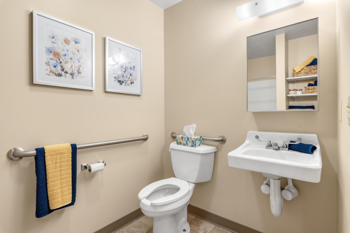 A small bathroom with a toilet, sink, and mirror, featuring handrails and decorative artwork.