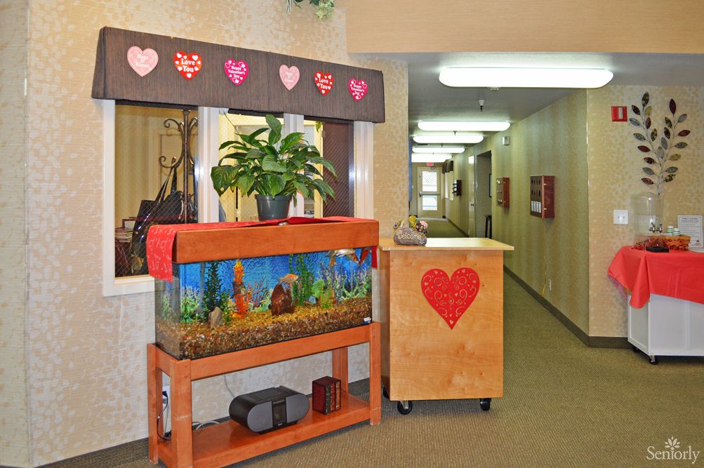 A hallway featuring a decorated fish tank and Valentine's Day themed decor.