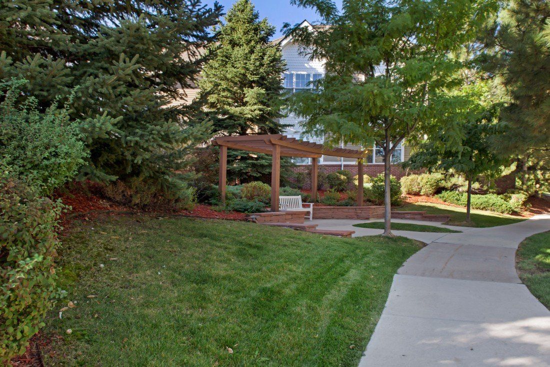 A serene garden with a pathway, trees, and a bench under a pergola.