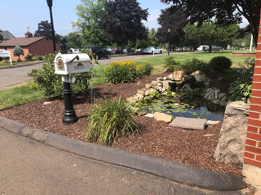 A well-kept garden featuring a decorative mailbox and a serene pond.