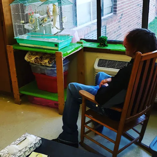 A child sitting on a wooden chair, observing a pet cage by the window.
