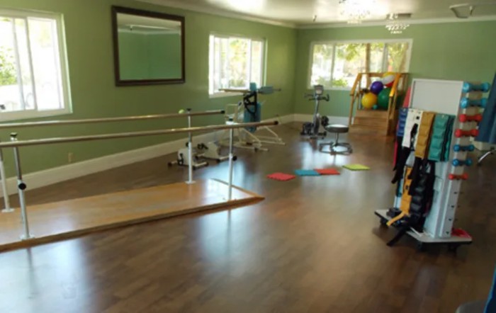 A well-equipped physical therapy room with rehabilitation equipment and a mirrored wall.