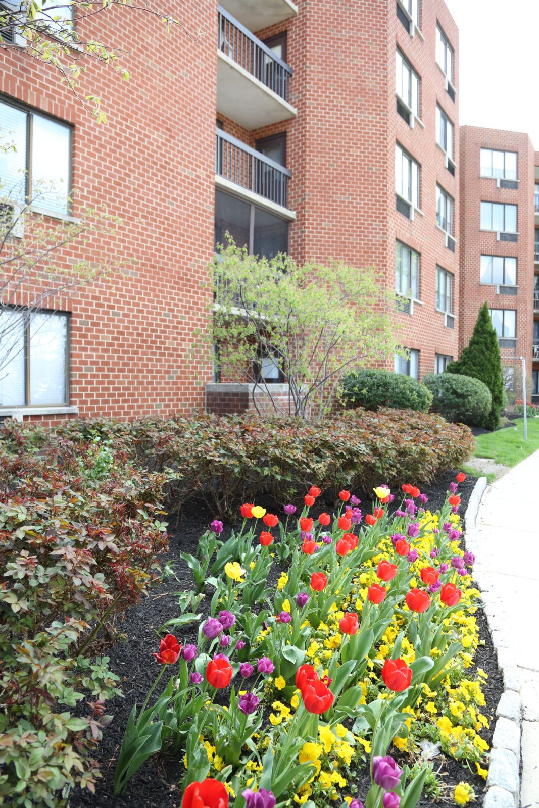 A brick apartment building with a landscaped garden featuring colorful flowers and shrubs along a sidewalk.