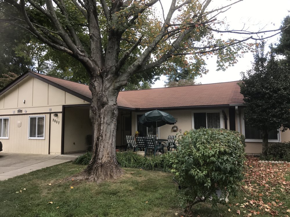 A suburban house with a large tree in the front yard and patio furniture under an umbrella.
