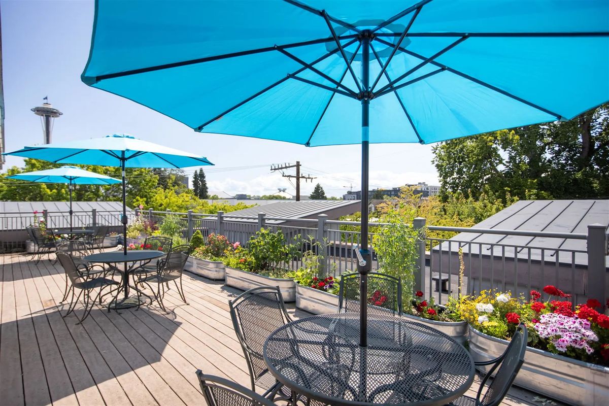A sunny outdoor patio with tables and blue umbrellas, surrounded by lush plants.