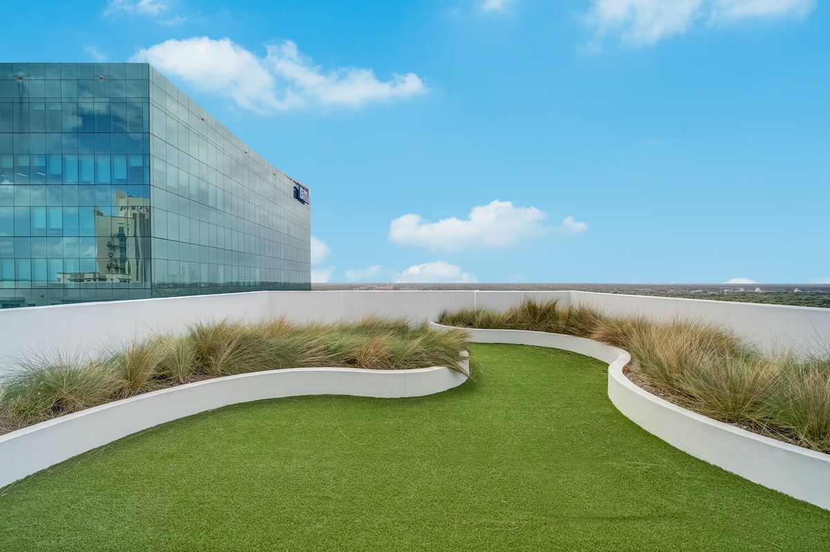 A modern rooftop garden with a curved lawn and ornamental grasses, set against a backdrop of glass buildings and a clear blue sky.