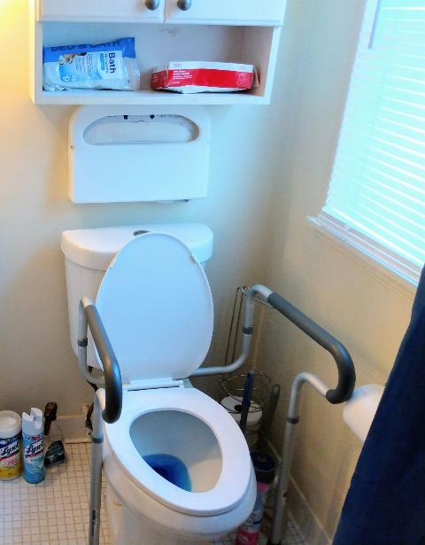 An accessible bathroom with safety rails around the toilet.