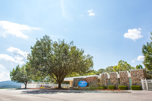 A serene view of a building surrounded by lush trees and a clear blue sky.
