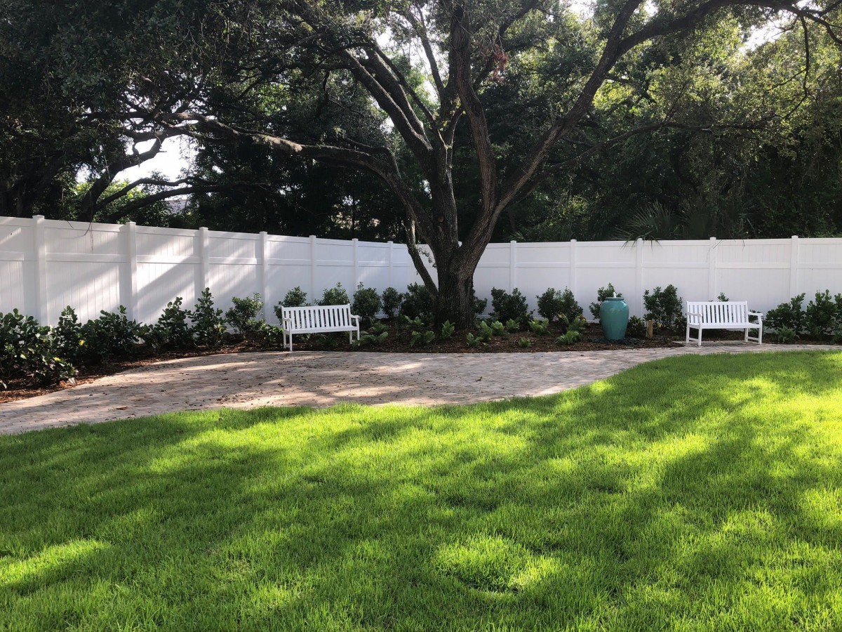 A peaceful garden area with benches and a large tree.