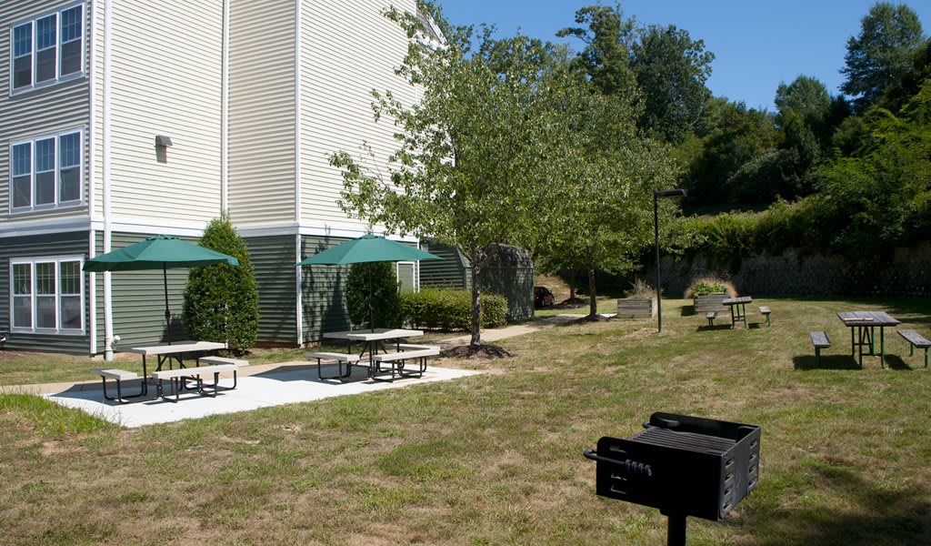 An outdoor picnic area with tables and green umbrellas, surrounded by trees and grass, features a barbecue grill.