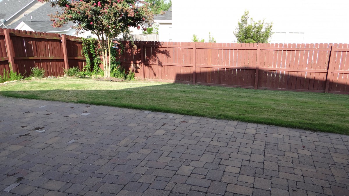 A backyard with a well-kept lawn, bordered by a wooden fence and featuring a paved patio.
