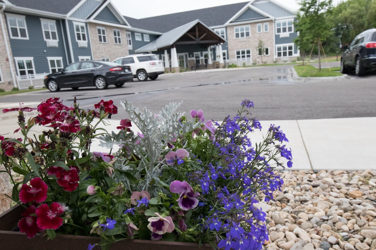 A close-up of vibrant flowers in a planter with a large building and parking lot in the background.