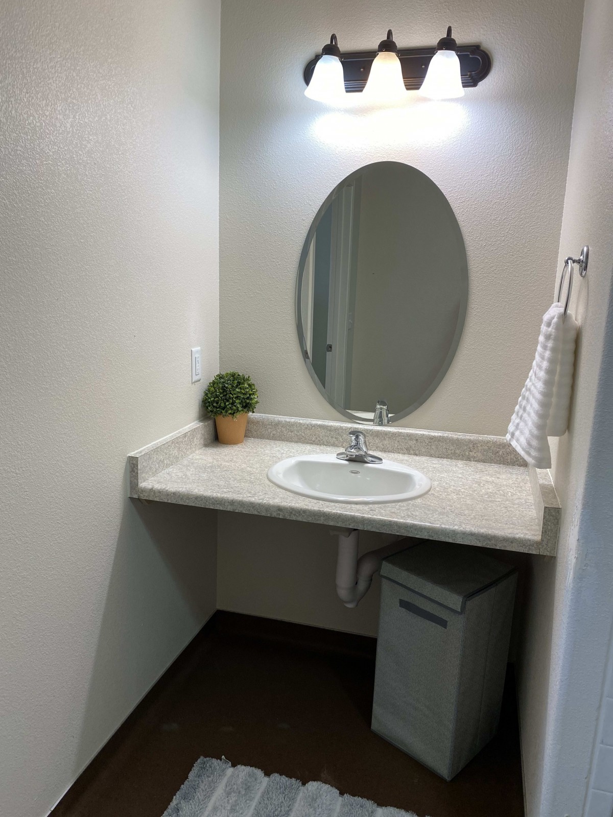 A minimalist bathroom with an oval mirror, sink, potted plant, and a small towel on the wall.