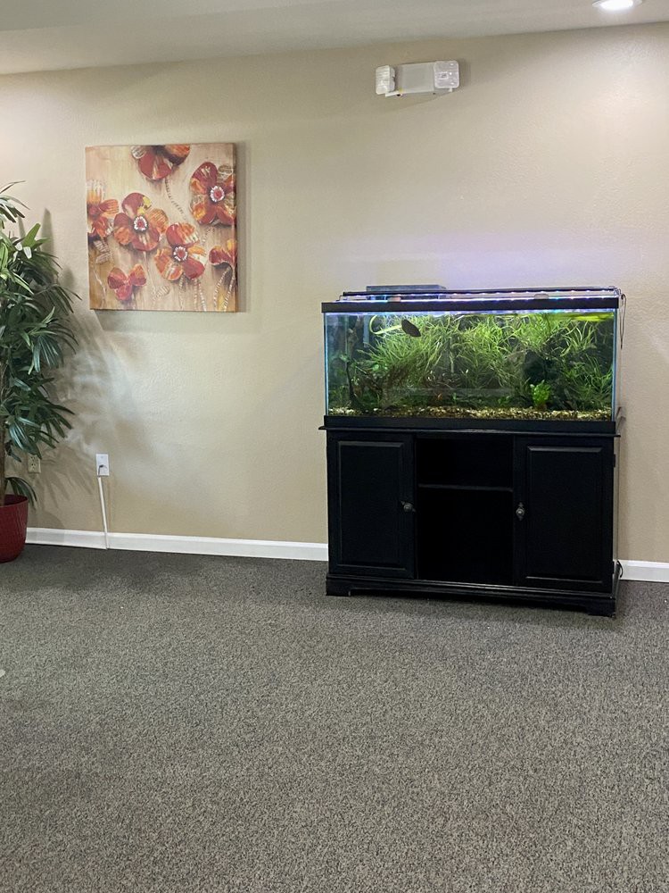 A cozy living room with an aquarium, a potted plant, and decorative wall art.