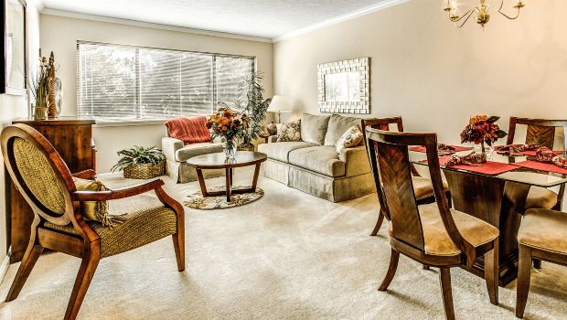 A well-decorated living room featuring a sofa, chairs, a coffee table, and elegant decor.