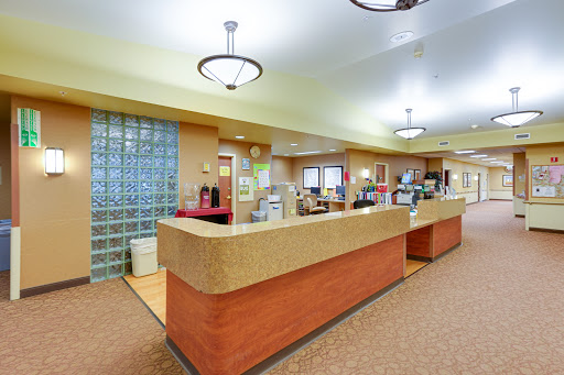 A bright and welcoming reception area featuring a spacious counter and modern lighting.