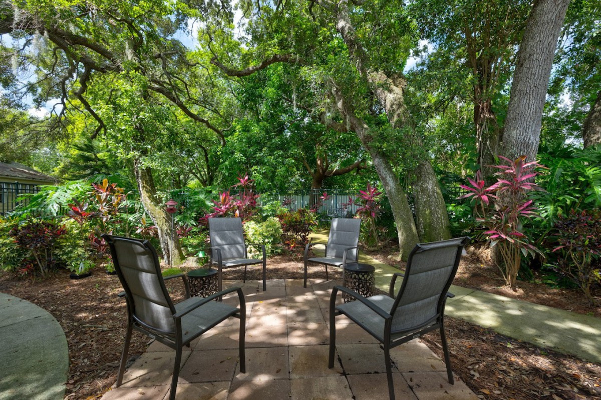 A peaceful garden patio with four chairs surrounded by lush greenery and trees.
