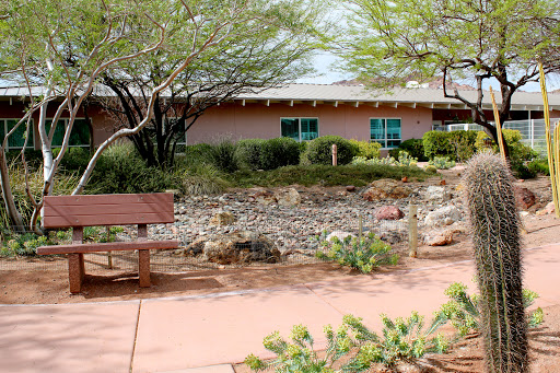 A tranquil garden scene featuring a bench, surrounded by greenery and a building in the background.