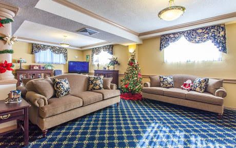 A cozy living room decorated with a Christmas tree and two couches.