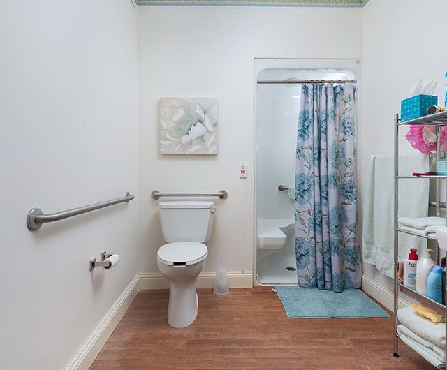 A clean and spacious bathroom with a toilet, shower curtain, and safety grab bars.