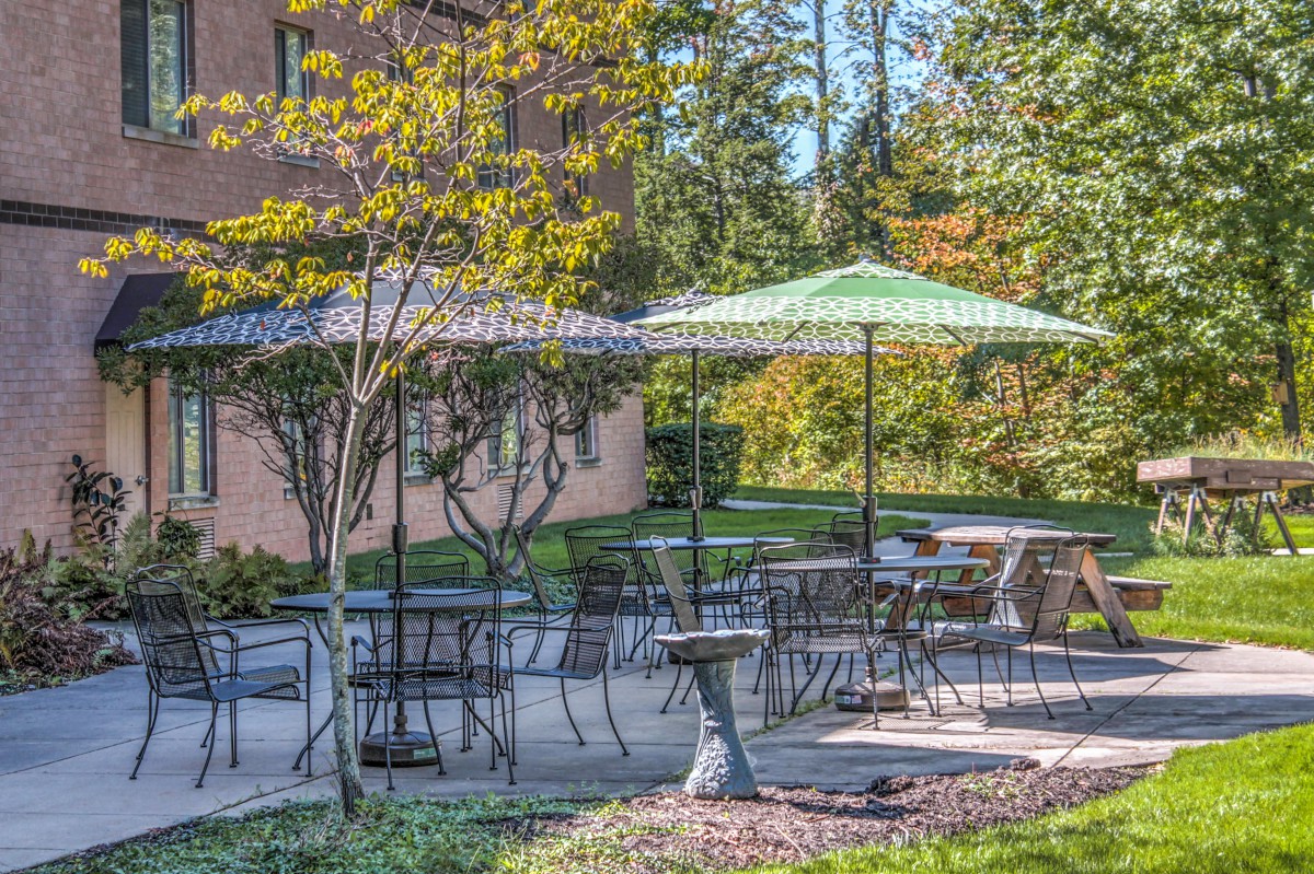 A serene outdoor patio with tables, chairs, and umbrellas surrounded by trees.