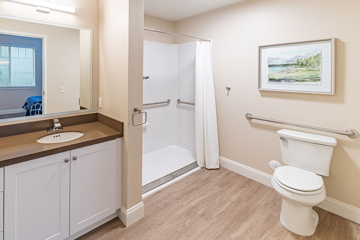 A modern, accessible bathroom with a shower, sink, and toilet, featuring grab bars for safety.