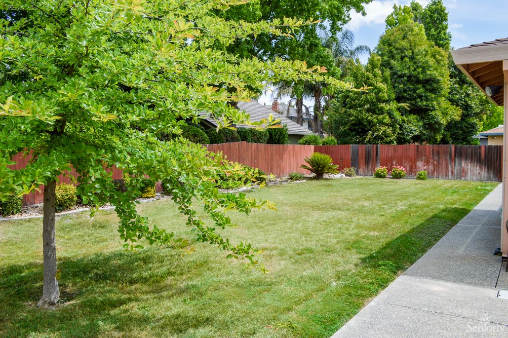 A well-maintained lawn surrounded by trees and a wooden fence.