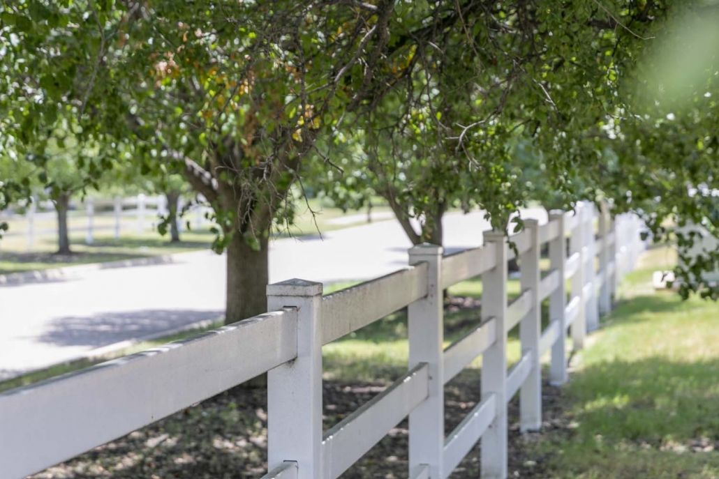 A white fence running alongside a row of lush green trees on a sunny day.