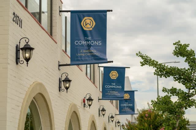 Banners hanging outside a university building.