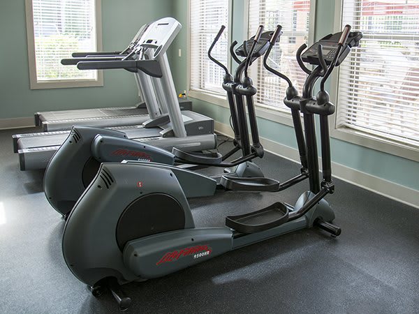 A gym with treadmills and elliptical machines ready for use.