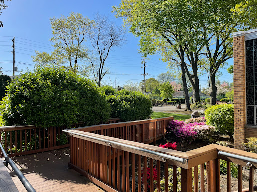 A serene garden scene with vibrant flowers and lush greenery under a clear blue sky.