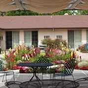 A cozy outdoor patio area with a table and chairs, surrounded by vibrant flowers in a garden.