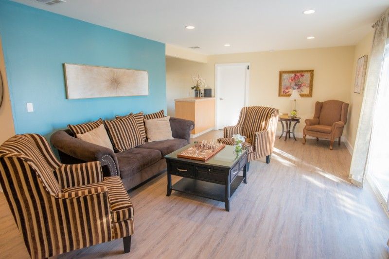 A modern living room with a brown sofa, striped armchairs, and a glass coffee table on wood flooring.
