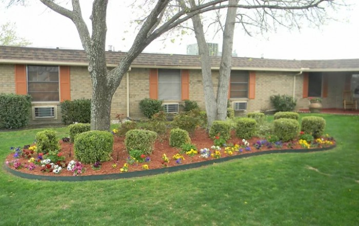 Mesquite Tree Nursing Center