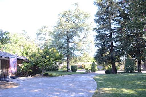 Evergreen Court
