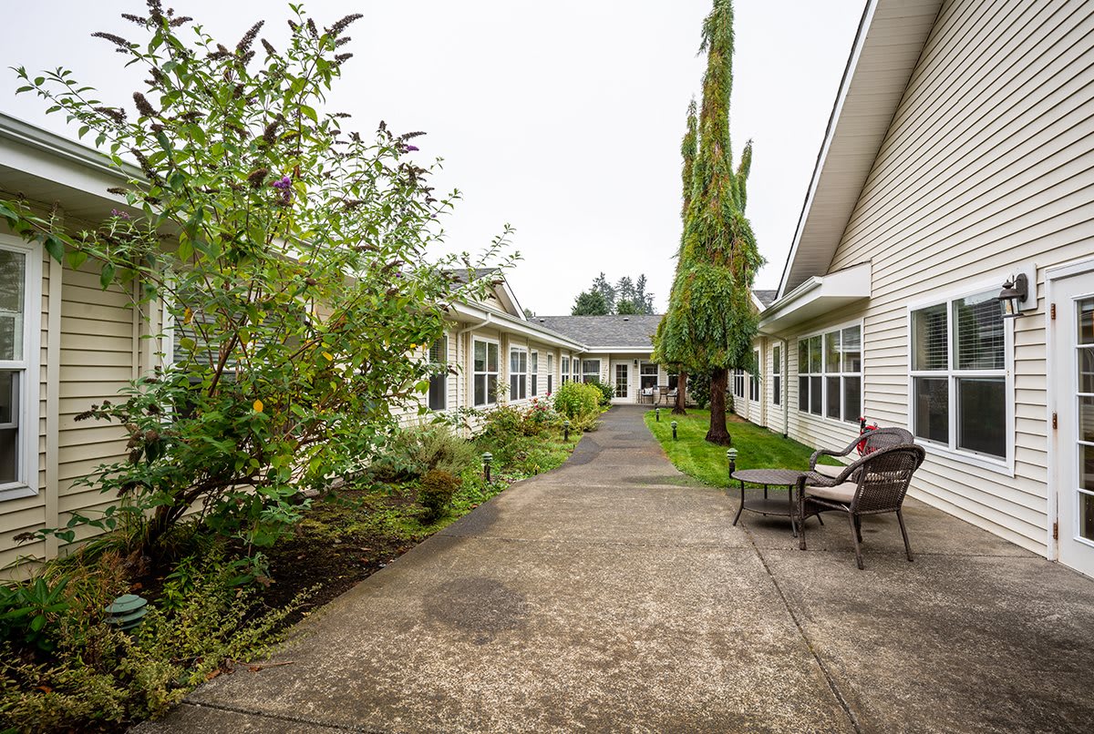 A serene pathway lined with greenery leading to a building entrance.