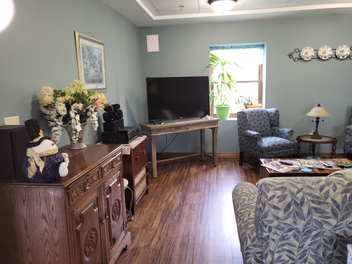 A cozy living room with a television, armchair, decorative cabinet, and plants by the window.