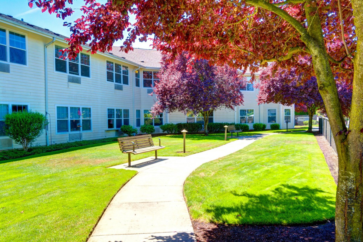 A sunny courtyard with a pathway lined by trees, benches, and a surrounding building.