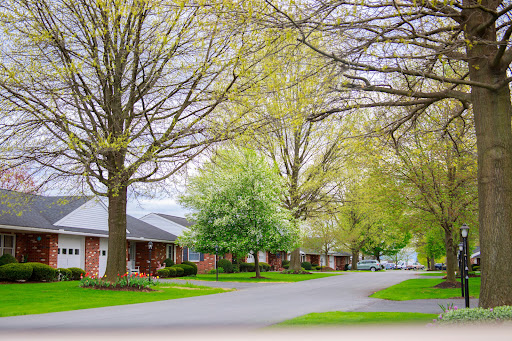 A serene residential neighborhood in spring, lined with lush green trees.