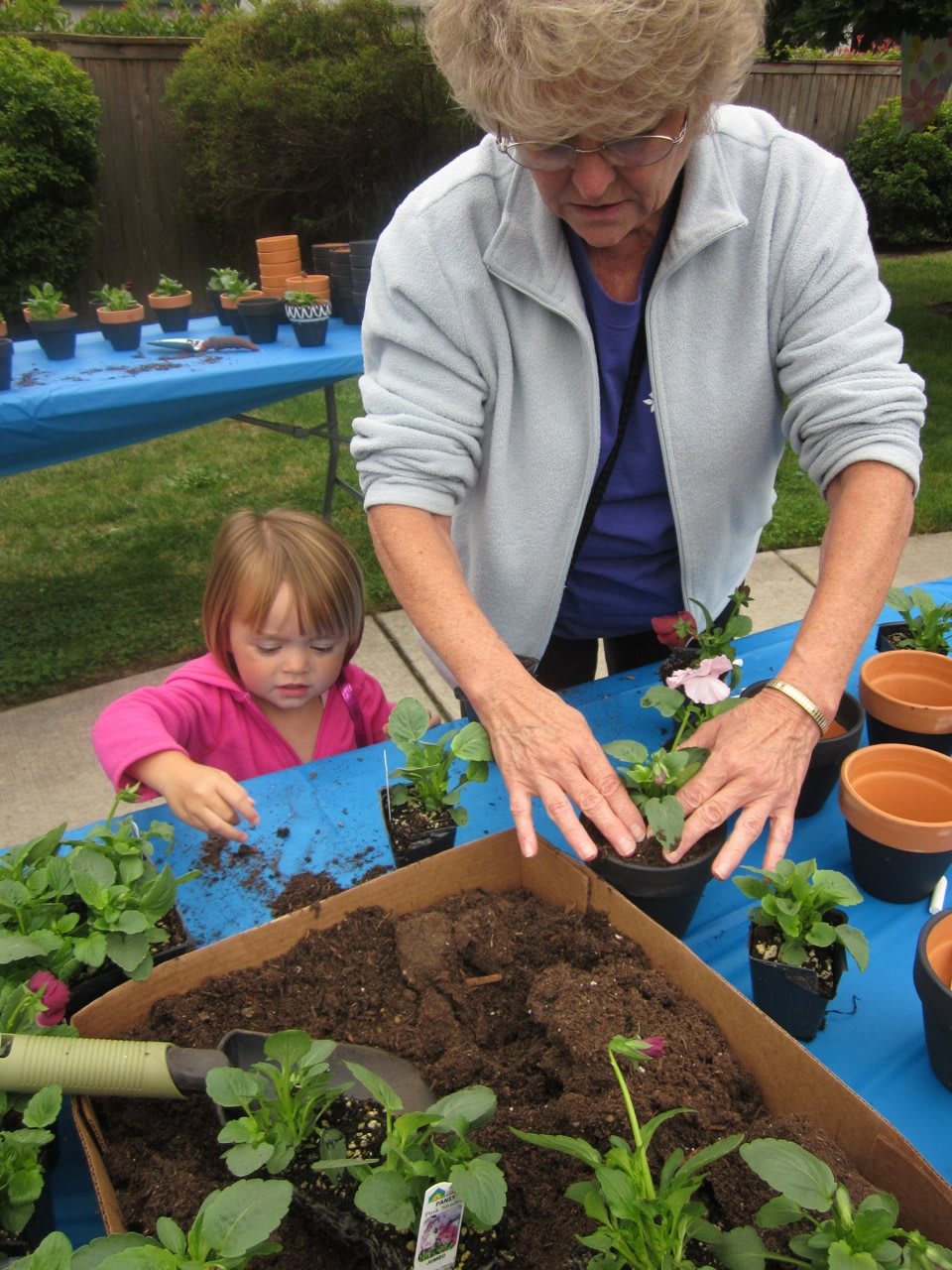 Chateau Gardens Memory Care