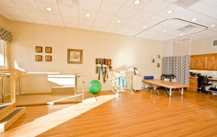 A well-lit rehabilitation room with various exercise equipment and therapy tools, featuring wooden flooring and modern decor.