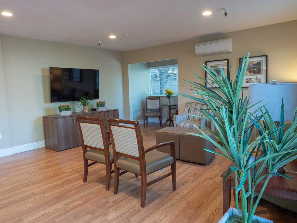 A cozy living room with wooden flooring, featuring a TV, chairs, and tasteful decor.