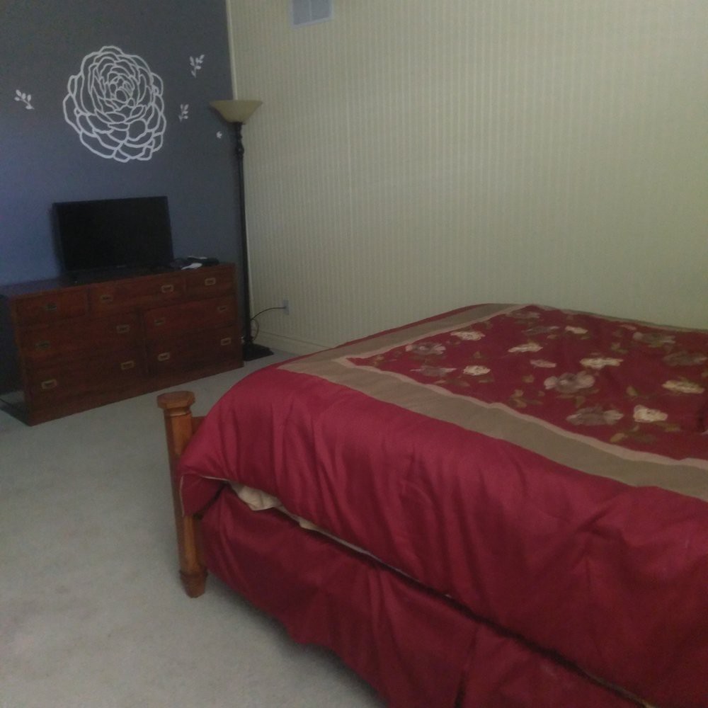 A cozy bedroom featuring a bed with a red comforter, a dresser with a TV, and decorative wall art.