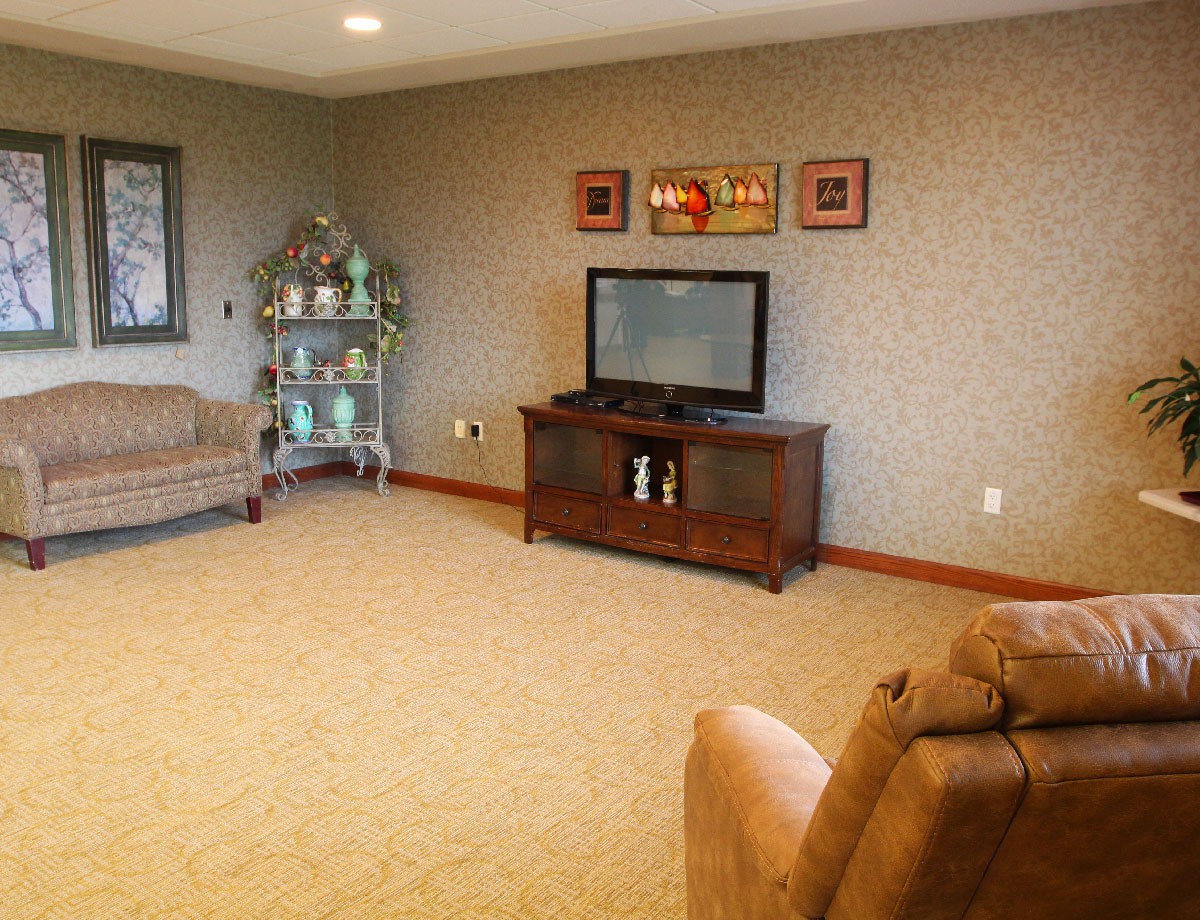 A cozy living room with a television, sofa, and decorative shelf.