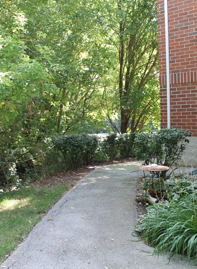 A concrete pathway lined with shrubs and trees alongside a brick building.